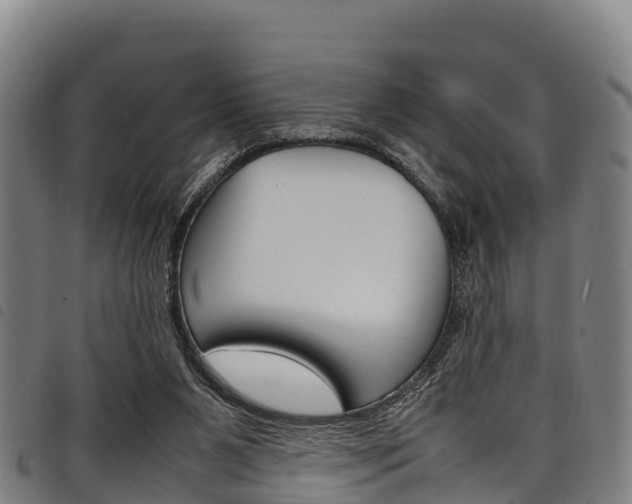 X0000098120111200804040832