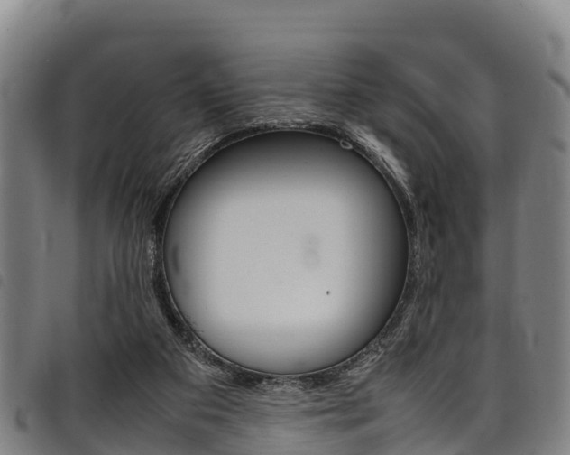 X0000098120113200804040832