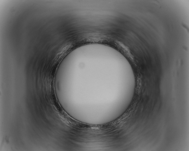 X0000098120114200804040832