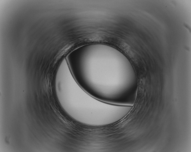X0000098120116200804040832