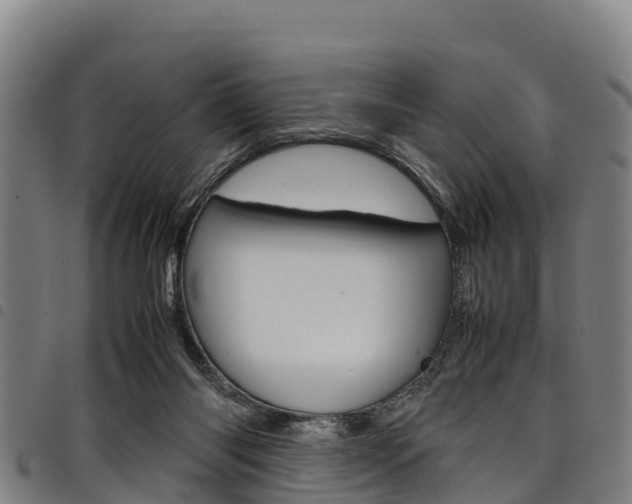 X0000098120118200804040832