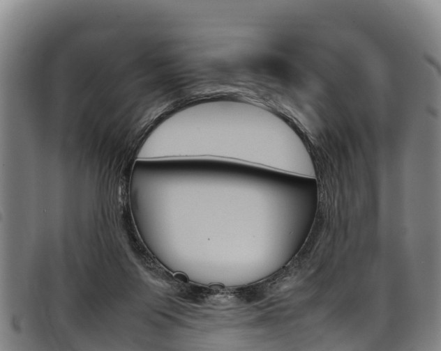 X0000098120119200804040832