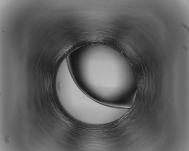 X0000098120120200804040832