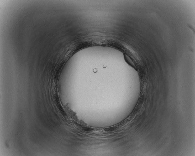 X0000098120121200804040832