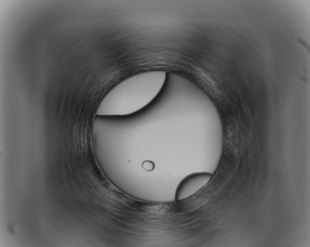 X0000098120122200804040832