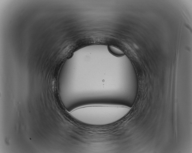 X0000098120123200804040832