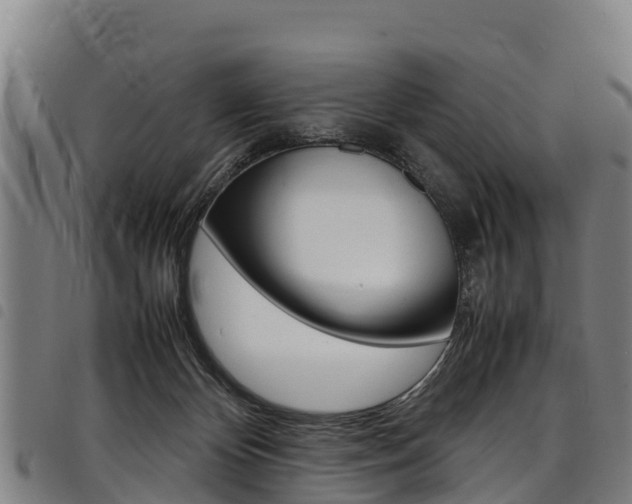 X0000098120124200804040832