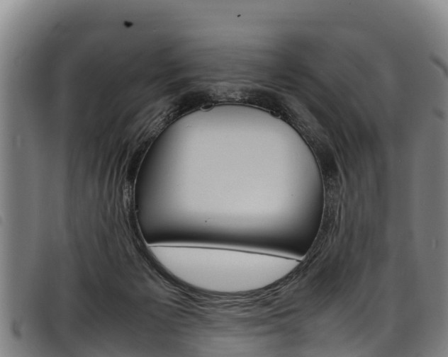 X0000098120125200804040832