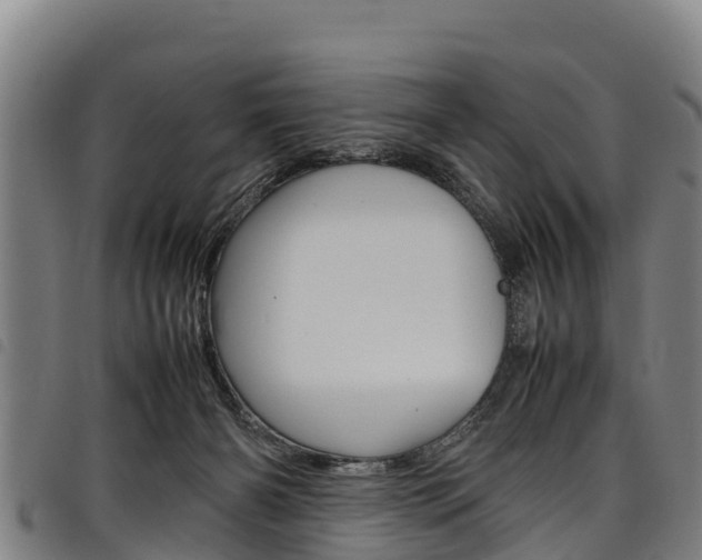 X0000098120126200804040832