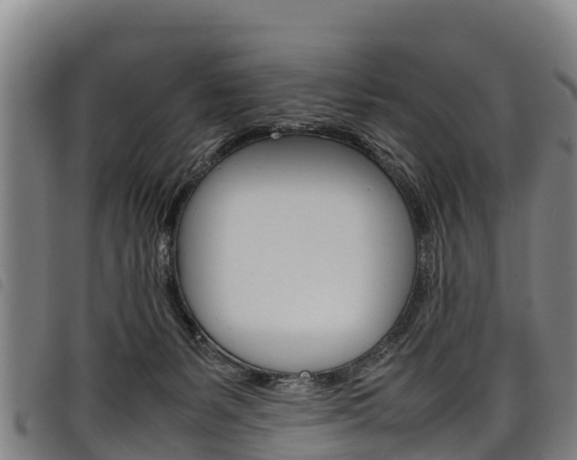 X0000098120127200804040832
