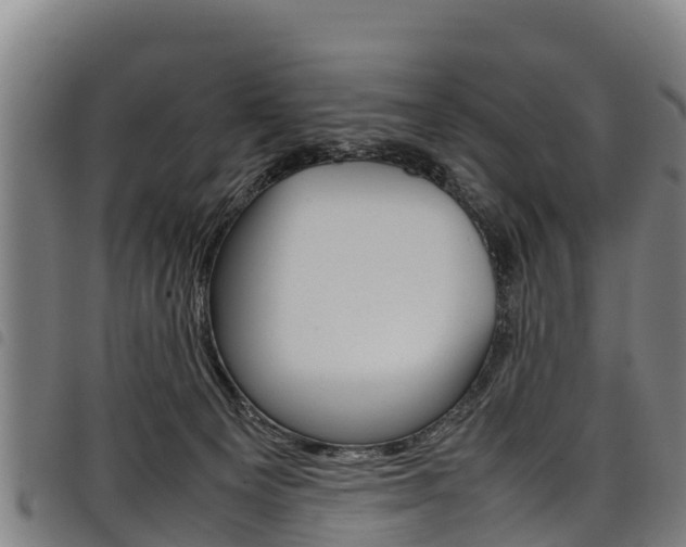 X0000098120129200804040832