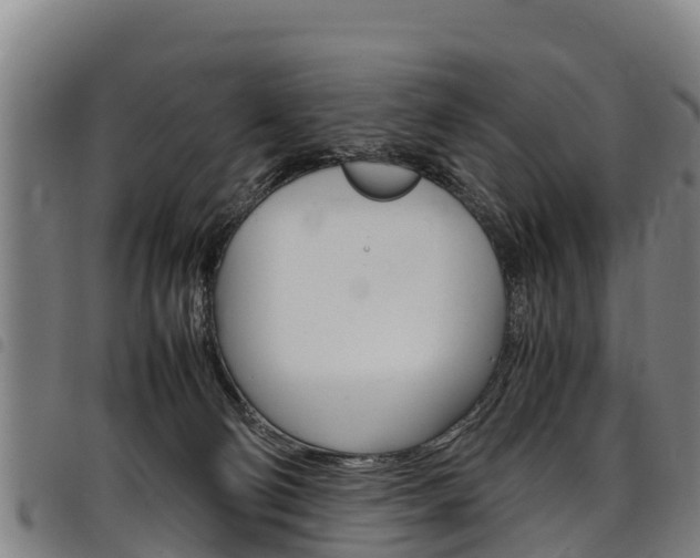 X0000098120130200804040832