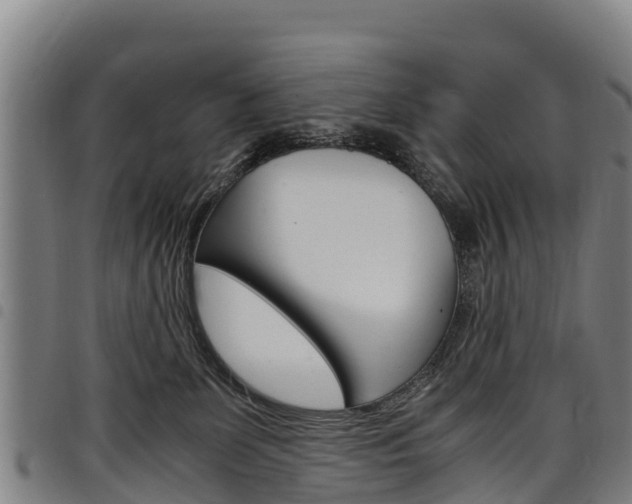 X0000098120131200804040832