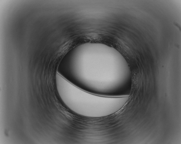 X0000098120132200804040832