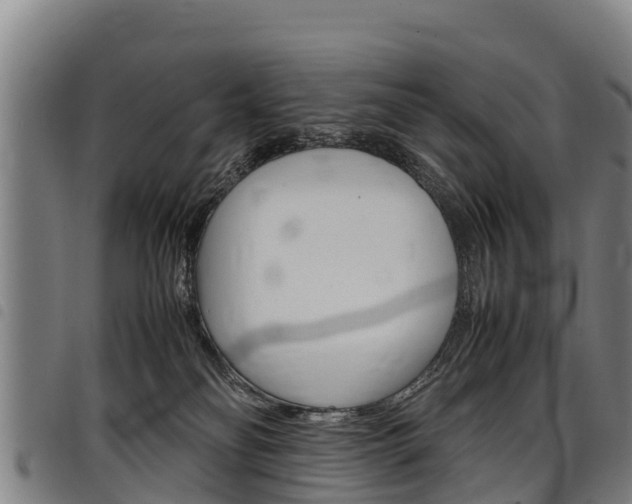 X0000098120134200804040832