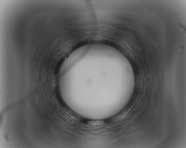 X0000098120135200804040832