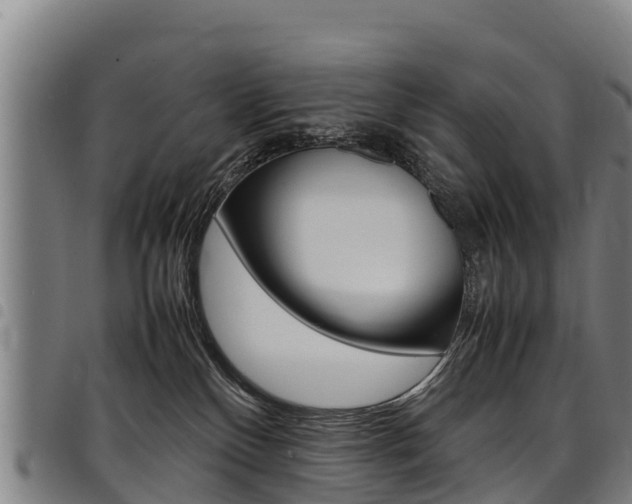 X0000098120136200804040832