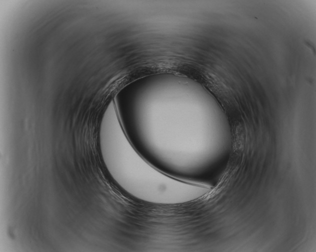 X0000098120140200804040832