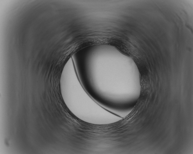 X0000098120141200804040832