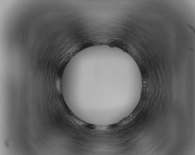 X0000098120143200804040832