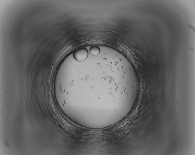 X0000098120145200804040831