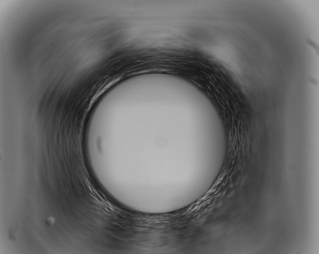 X0000098120146200804040831