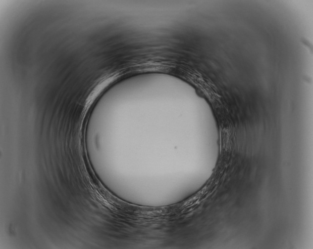 X0000098120147200804040831
