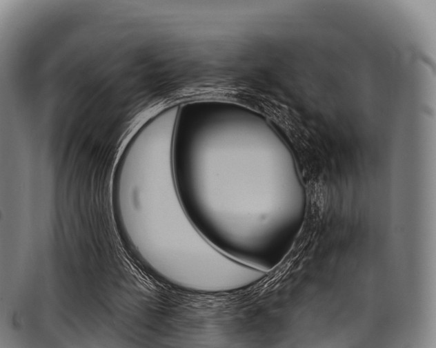X0000098120148200804040831