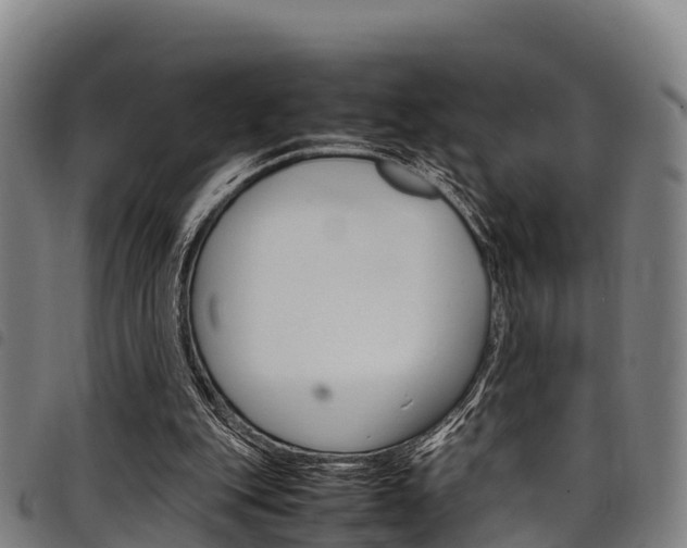 X0000098120151200804040831