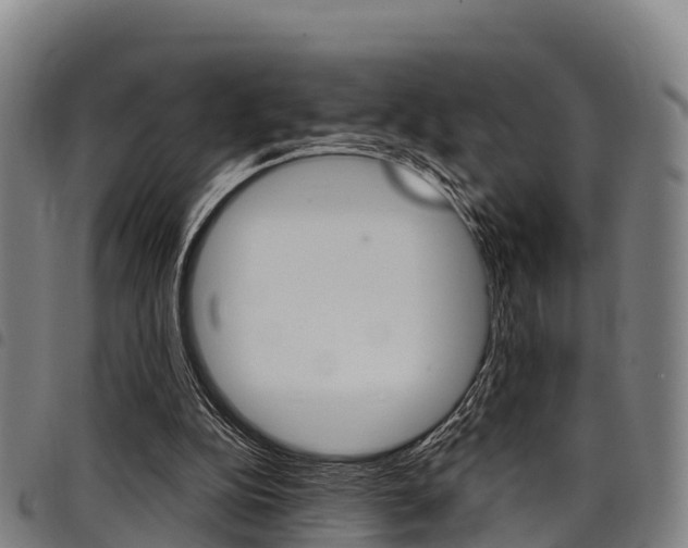 X0000098120152200804040831