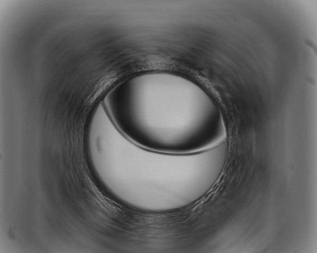 X0000098120154200804040831