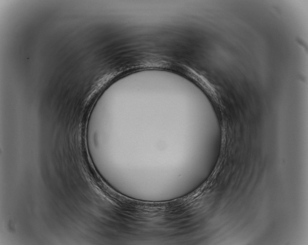 X0000098120155200804040831