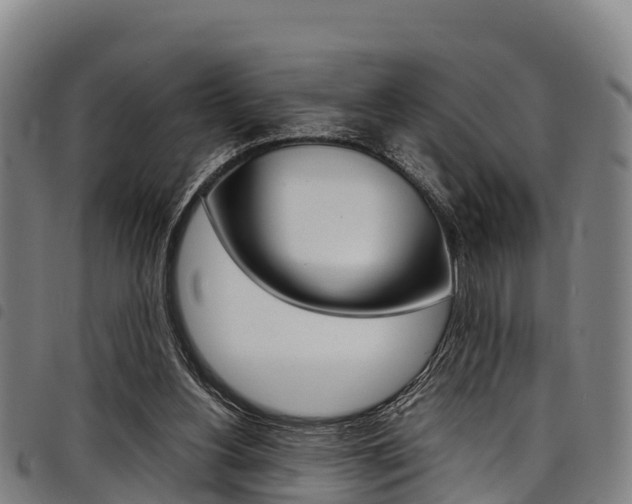 X0000098120156200804040831