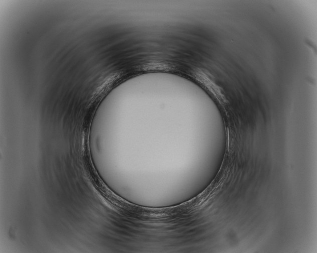 X0000098120157200804040831