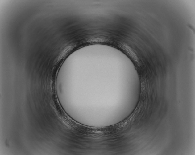 X0000098120159200804040831