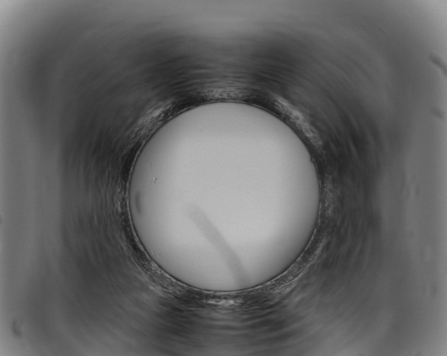 X0000098120161200804040831