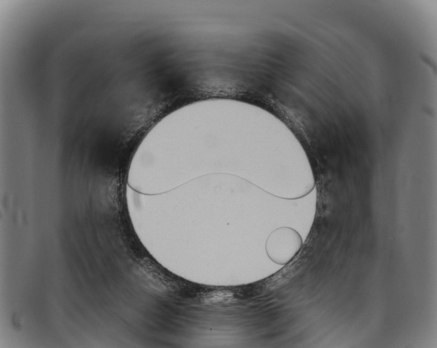 X0000098120162200804040831