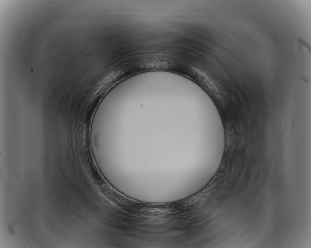 X0000098120163200804040831