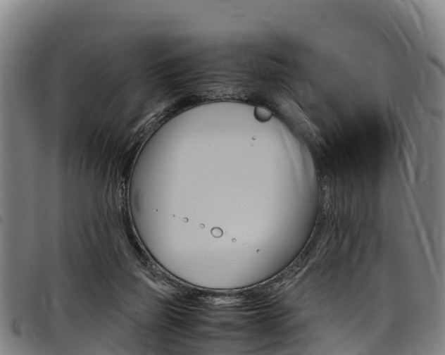 X0000098120165200804040831