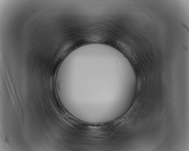 X0000098120167200804040831
