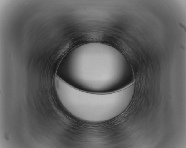 X0000098120168200804040831
