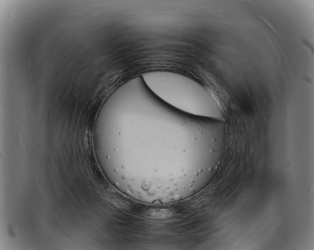 X0000098120169200804040831