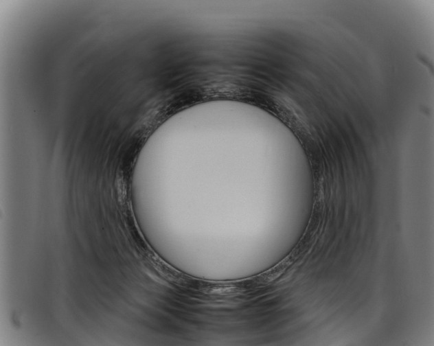 X0000098120173200804040831