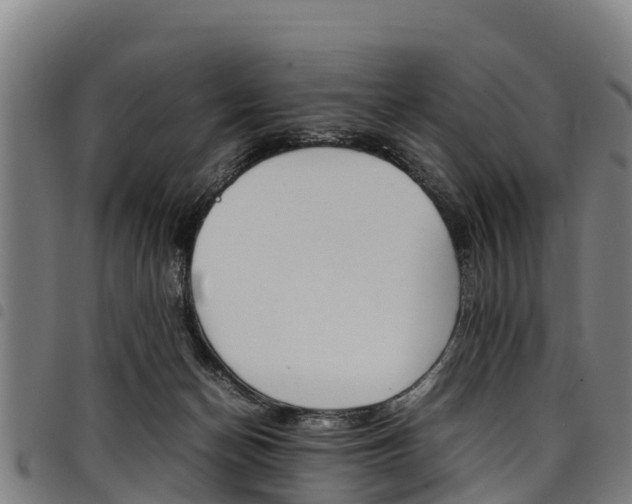 X0000098120174200804040831