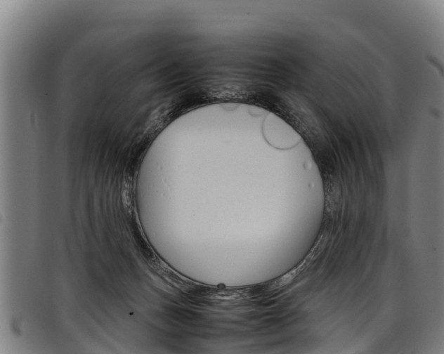 X0000098120175200804040831