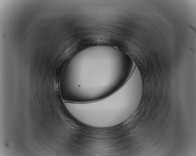 X0000098120176200804040831