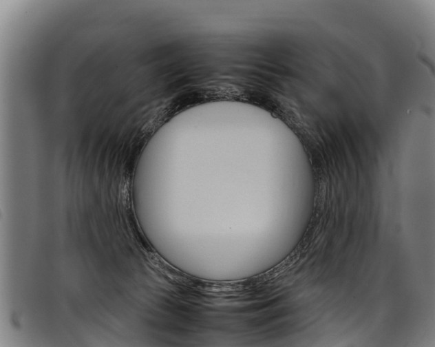 X0000098120177200804040831