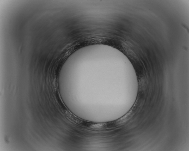 X0000098120178200804040831