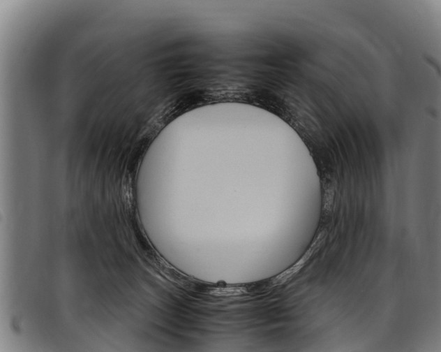 X0000098120179200804040831
