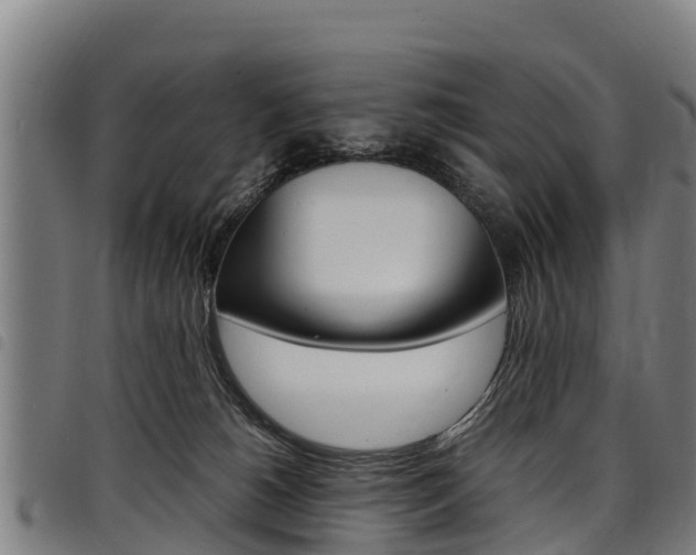 X0000098120180200804040832